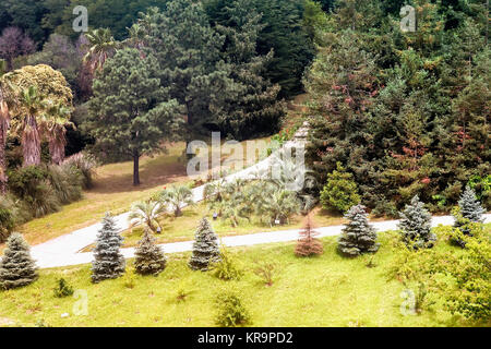 Arboretum von tropischen und subtropischen Pflanzen. Stockfoto