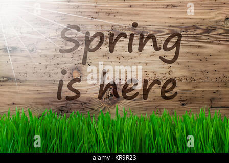 Sunny Holz- Hintergrund, Gras, Text der Frühling ist da Stockfoto