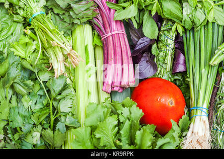 Frisches Grün und rote Tomaten Stockfoto