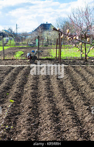 Gepflügte garten Saatgut Betten und Deichsel in Dorf Stockfoto