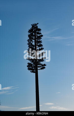 Mobile phone mast Buckinghamshire Stockfoto