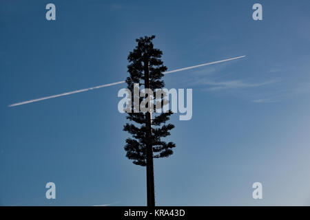 Mobile phone mast Buckinghamshire Stockfoto