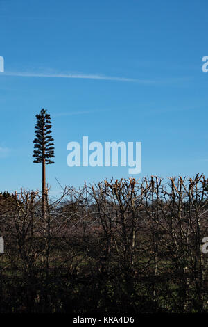 Mobile phone mast Buckinghamshire Stockfoto