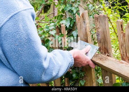 Ausbesserung einer hölzernen Gartenzaun. Stockfoto