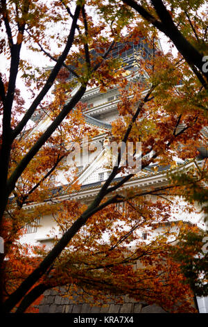 Künstlerische abstrakte Landschaft die Burg von Osaka, Osaka-jo, Aussicht über Rot bunte Blätter auf schönen, ruhigen Herbstmorgen. Osaka, Japan 2017 Stockfoto