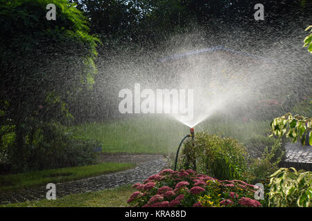 Gartenbewässerung Stockfoto