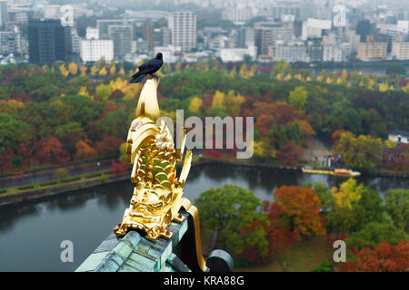 Raben auf dem Dach gold Dekor die Burg von Osaka mit Antenne herbst Stadtkulisse von Osaka und der Schlosspark Gracht im Hintergrund auf einem nebligen m Stockfoto