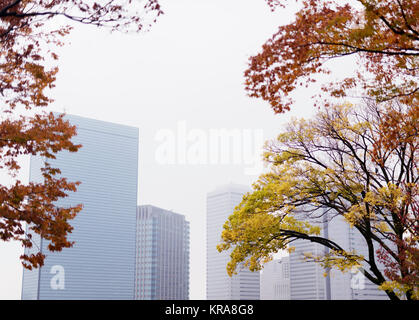 Osaka moderne Architektur Bürogebäude Blick durch das Laub der Bäume im Herbst bunt und Morgennebel. Downtown Chuo-ku Finanzielle distric Hohe Stockfoto