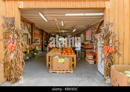 Eingang zum Hof oder Bauernmarkt, mit frischem Gemüse und Obst, an Carver's Obstgarten, für den Herbst oder im Herbst im Cosby Tennessee, USA eingerichtet. Stockfoto