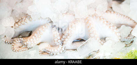 Frische Octopus auf Eis Stockfoto