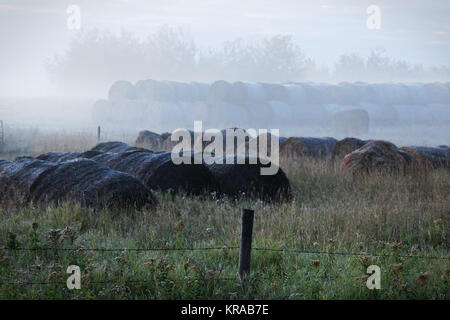 Gestapelte Heu Ballen mit der Nebel um Sie herum. Stockfoto