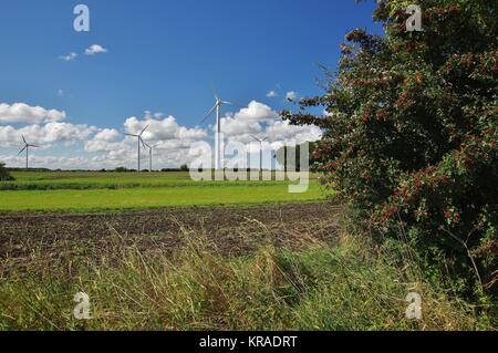 Landschaft bei Burg mit Feldern und Windkraftanlagen, insel fehmarn Stockfoto