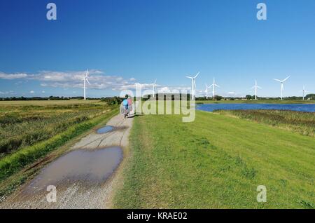 Deichweg am Burger-Binnensee, Richtung Burg, insel fehmarn Stockfoto