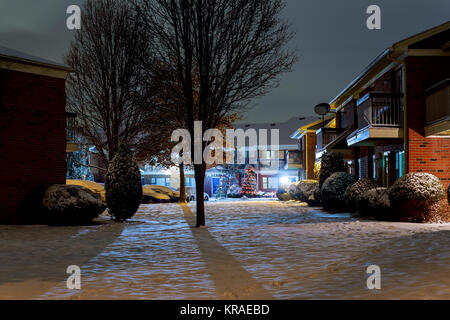 Winter Nacht Landschaft - Bank unter Winter Bäume und leuchtenden Straßenlaternen mit fallenden Schneeflocken winter nacht Schnee Stockfoto