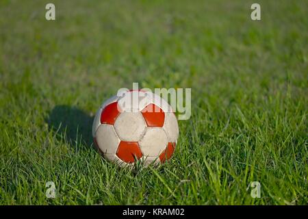 Fußball auf dem Rasen Stockfoto