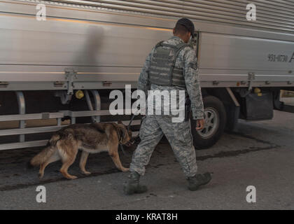 KitKat, 18 Sicherheitskräfte Squadron militärischen Gebrauchshund, führt das eine Suche Fahrzeug mit US Air Force Staff Sgt. David Maestas, 18 SFS Militär Hundeführer Dez. 12, 2017, bei Kadena Air Base, Japan. Militär Hunde haben einen interessanten Tag, der den Aufbau Patrouillen, Fahrzeug sucht, Aggression und Gehorsam Ausbildung, sowie andere Szenarios, um sicherzustellen, dass sie vollständig für nichts in das Feld vorbereitet. (U.S. Air Force Stockfoto