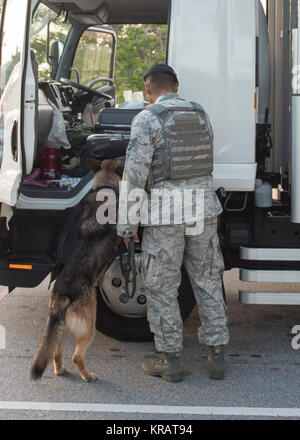 KitKat, 18 Sicherheitskräfte Squadron militärischen Gebrauchshund, führt das eine Suche Fahrzeug mit US Air Force Staff Sgt. David Maestas, 18 SFS Militär Hundeführer Dez. 12, 2017, bei Kadena Air Base, Japan. Militär Hunde sind in der Lage, sich in ihren menschlichen Pendants nicht gewährleisten Kadena ist sicher und sicher. (U.S. Air Force Stockfoto