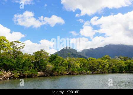 River Cruise in Cooper Creek, Cape Tribulation, Daintree National Park, Far North Queensland, FNQ, QLD, Australien Stockfoto