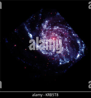 M101 kombiniert niedrig Stockfoto