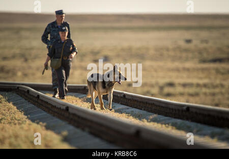 Polizei Spaziergang entlang der Bahngleise mit einer Bombe schnüffelnhund vor der Sojus TMA-09 M Raumschiff, wie es mit der Bahn zum Kosmodrom Baikonur Startrampe gerollt wird, Sonntag, 26. Mai 2013, in Kasachstan. Der Start der Sojus zur Internationalen Raumstation (ISS) mit Expedition 36/37 Sojus Commander Fyodor Yurchikhin der russischen Föderalen Raumfahrtagentur (Roskosmos), Flug Ingenieure; Luca Parmitano der Europäischen Weltraumorganisation und Karen Nyberg der NASA, ist für Mittwoch, den 29. Mai geplant, kasachischen Zeit. Yurchikhin, Nyberg, und Parmitano, wird an Bord der Station bleiben bis Mitte - Keine Stockfoto