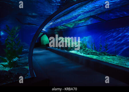 Tunnel im Oceanarium Stockfoto