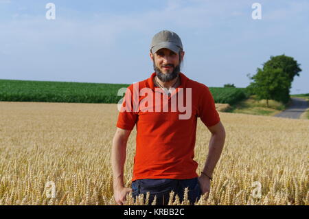 Bärtige Mann in einem Weizenfeld an einem sonnigen Tag Stockfoto