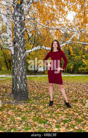 Schöne elegante Frau in einem Park im Herbst. Die Frau lächelt. Stockfoto