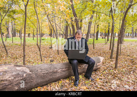 Geschäftsmann mit einem Laptop im Park im Herbst. Junge Mann sitzt auf Baum im Park mit dem Laptop auf dem Schoß und überprüft E-Mail. Ein Mann arbeitet an einem Stockfoto