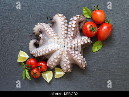 Rohen Tintenfisch mit Kalk, Tomaten und Kräutern Stockfoto