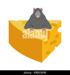 Maus und Käse. Nagetier Vector Illustration Stock Vektor