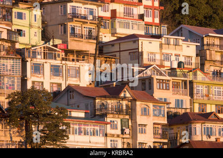 Tiered Häuser auf steilen Berghang in Shimla, Indien Stockfoto