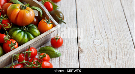 Bunte Tomaten auf einem Holztisch Stockfoto