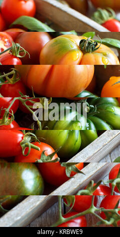 Bunte Tomaten auf einem Holztisch Stockfoto