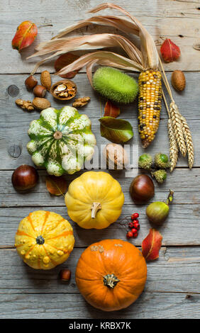 Herbst Hintergrund mit Kürbissen Stockfoto