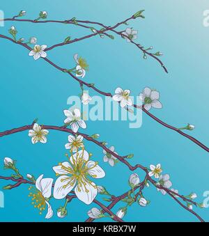 Pfirsich Cherry Blossom Flowers Background Pattern Stock Vektor