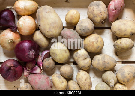 Kartoffeln und andere Wurzelgemüse in einem hölzernen Kasten Stockfoto