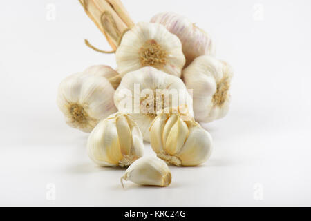 Knoblauch Zwiebeln und Knoblauchzehen Stockfoto