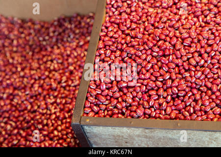 Rote Bohnen roh in der Holzkiste bereit, auf dem Markt zu verkaufen. organische Körner essen, Japanisch anrufe Adzuki oder Azuki bean Stockfoto