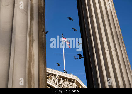 Tauben im British Museum London GV Pic von Gavin Rodgers/Pixel 8000 Ltd. Stockfoto