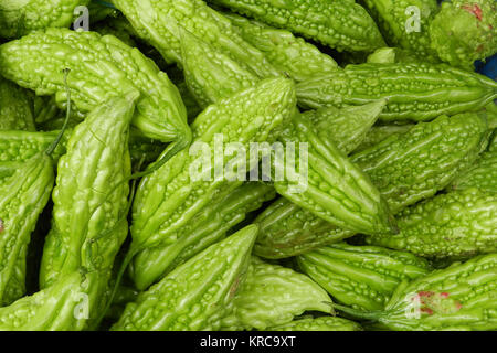 Bitter Melone Stockfoto