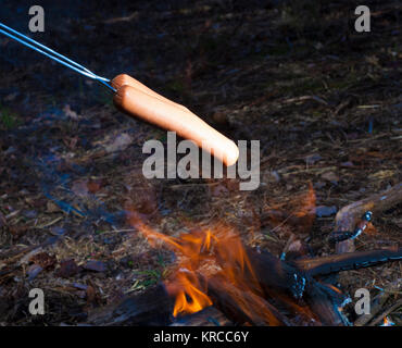 Paar Hot Dogs, die über offenem Feuer gekocht wird Stockfoto