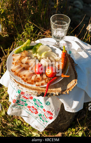 Russischer Wodka in Schnapsglas Stockfoto