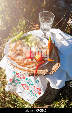 Russischer Wodka in Schnapsglas Stockfoto