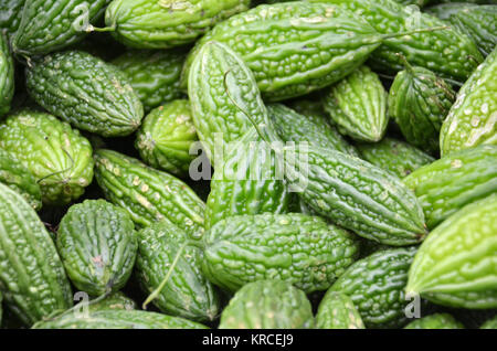 Stapel von bitter Melonen an Markt in Little India Bezirk Stockfoto