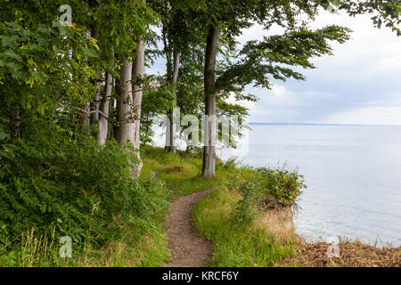 Am Brodtener Bluffs bei travemÃ¼nde, Schleswig-Holstein, Deutschland Stockfoto