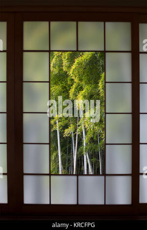 Bambus Wald gesehen durch ein Fenster in eine traditionelle japanische SHOJI-Bildschirm Stockfoto