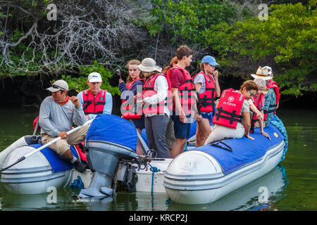 Urlauber natur Anzeigen in einem typischen zodiac Schlauchboot in Black Turtle Cove, Isla Santa Cruz, Galapagos, Ecuador Stockfoto