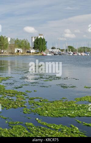 Fehmarn, Blick vom deichweg auf der Burger See und die Marina von Burg Stockfoto