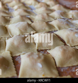 Die handgemachte Ravioli Stockfoto
