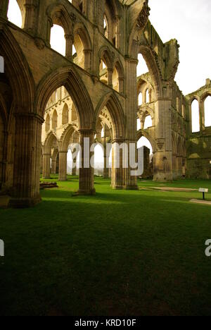 Teil der Ruinen von Rievaulx Abbey, in der Nähe von Helmsley, North Yorkshire. Es war die erste Zisterzienserabtei im Norden Englands und wurde 1132 gegründet. Stockfoto